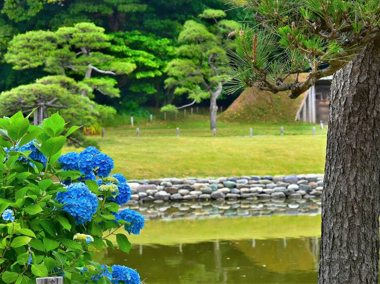 Hamarikyu Gardens