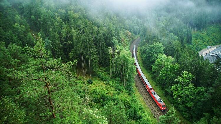 Black Forest Railway