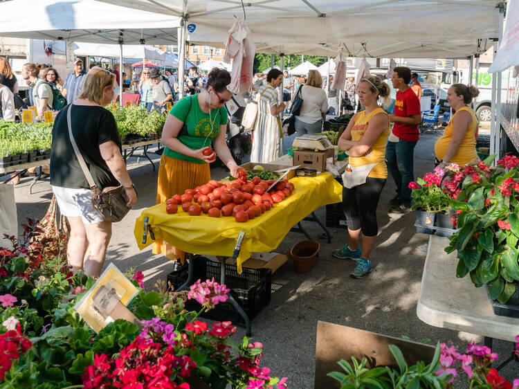 Browse a farmers market