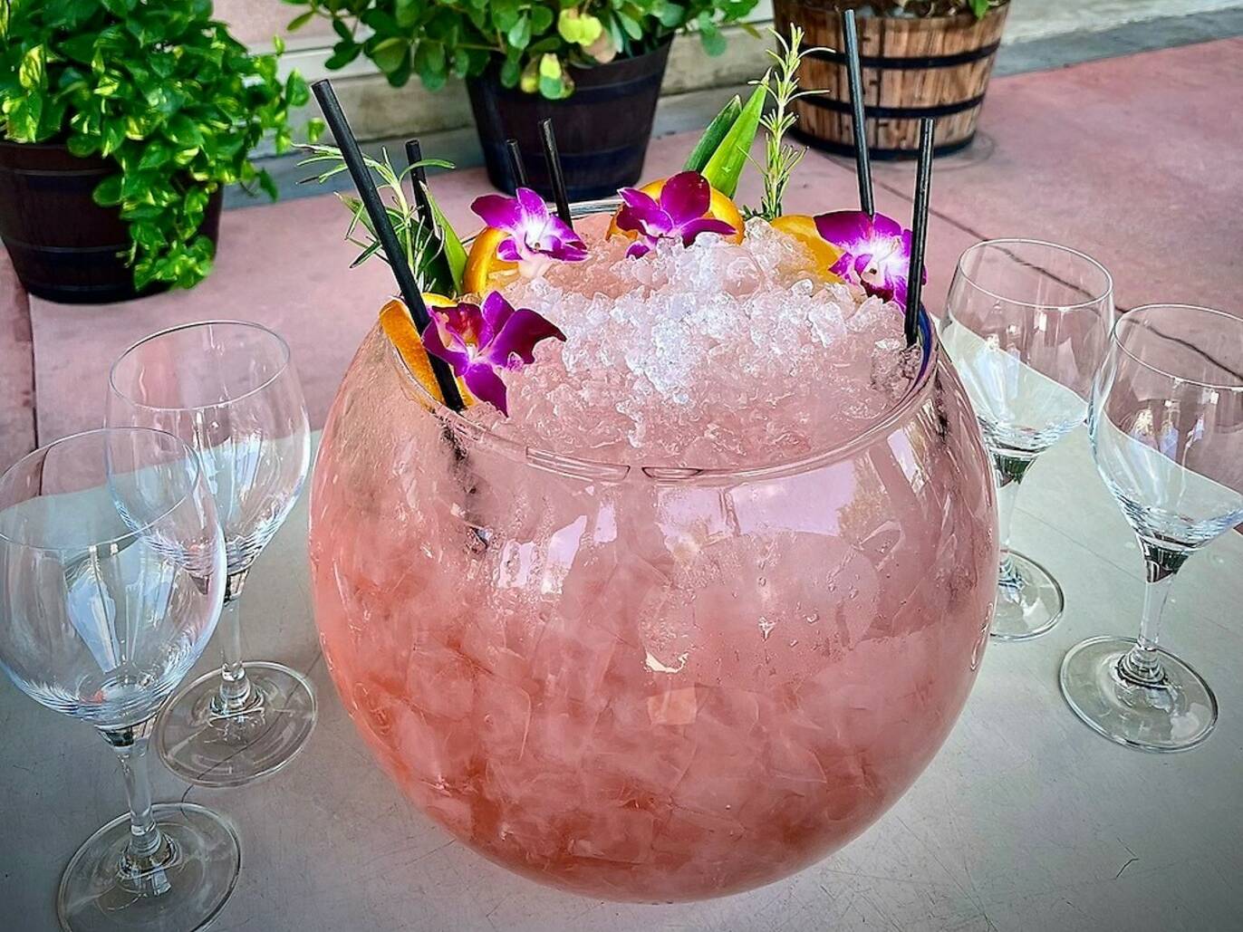 Best Brunch Miami Delights