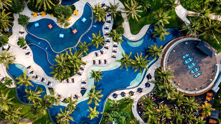 An overhead shot of a hotel pool with palm trees and sun lounges.