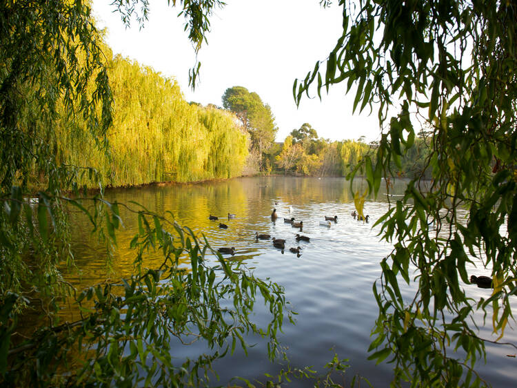 Lake at Sunbury