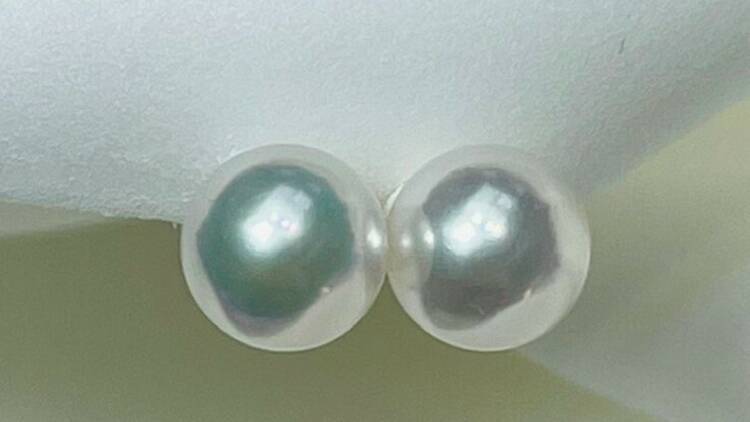 J Ocean Pearl Jewellery’s Akoya pearl earrings 