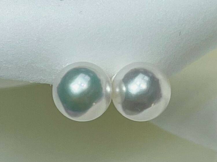 J Ocean Pearl Jewellery’s Akoya pearl earrings 