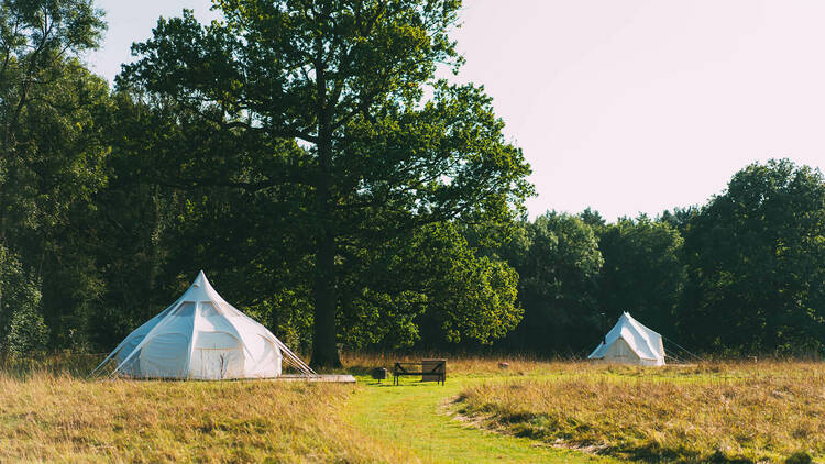 Camp Kátur, North Yorkshire