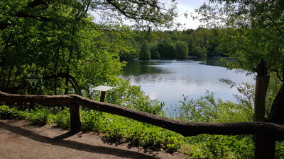 5 Best Bathing Lakes In Berlin For Wild Swimming