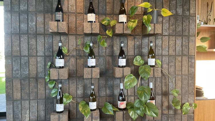 A wall of cinderblocks with Stoney Rise wines.