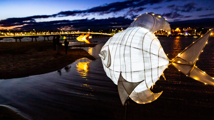 A light up fish lantern on the water.