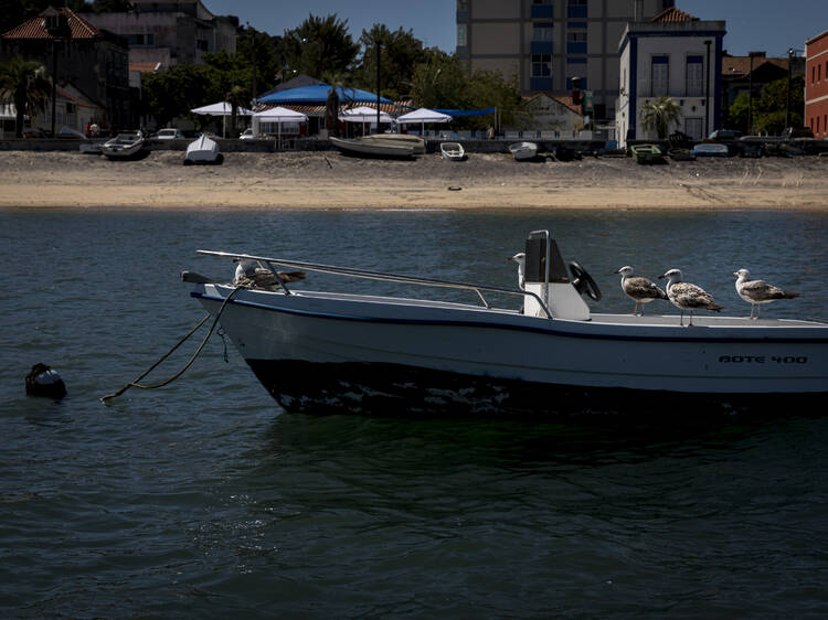 Vinhos e petiscos à beira Tejo durante três dias, em Almada