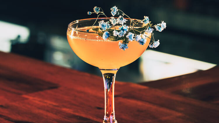 A cocktail with blue flowers inside