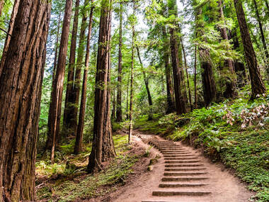 10 Best Places to Hike in the Bay Area