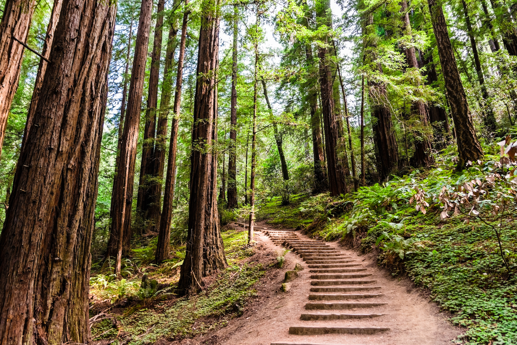 10 Best Places to Hike in the Bay Area