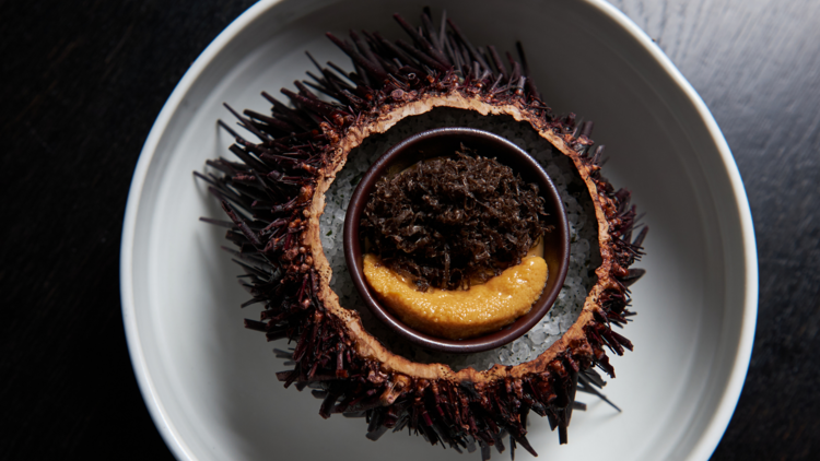 A sea urchin with roe and truffle