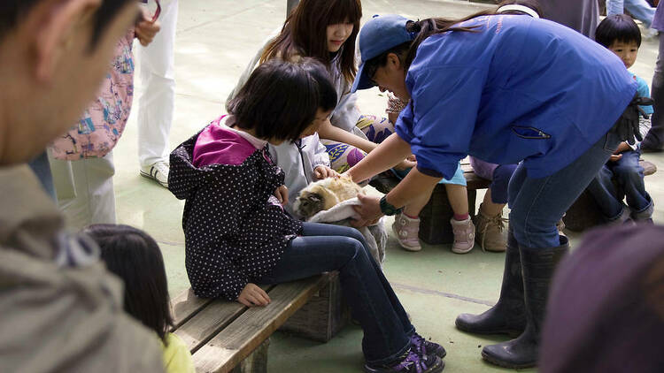 碑文谷公園 こども動物広場