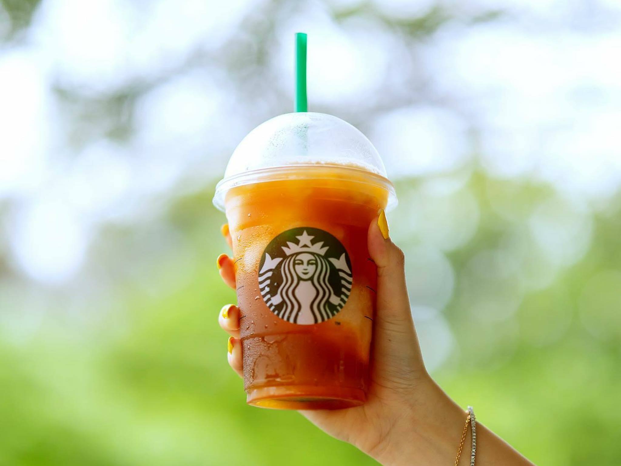 Don't miss Starbucks' 'drinkable cheesecake' and plant parenting collection