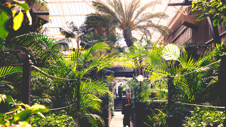 barbican conservatory 