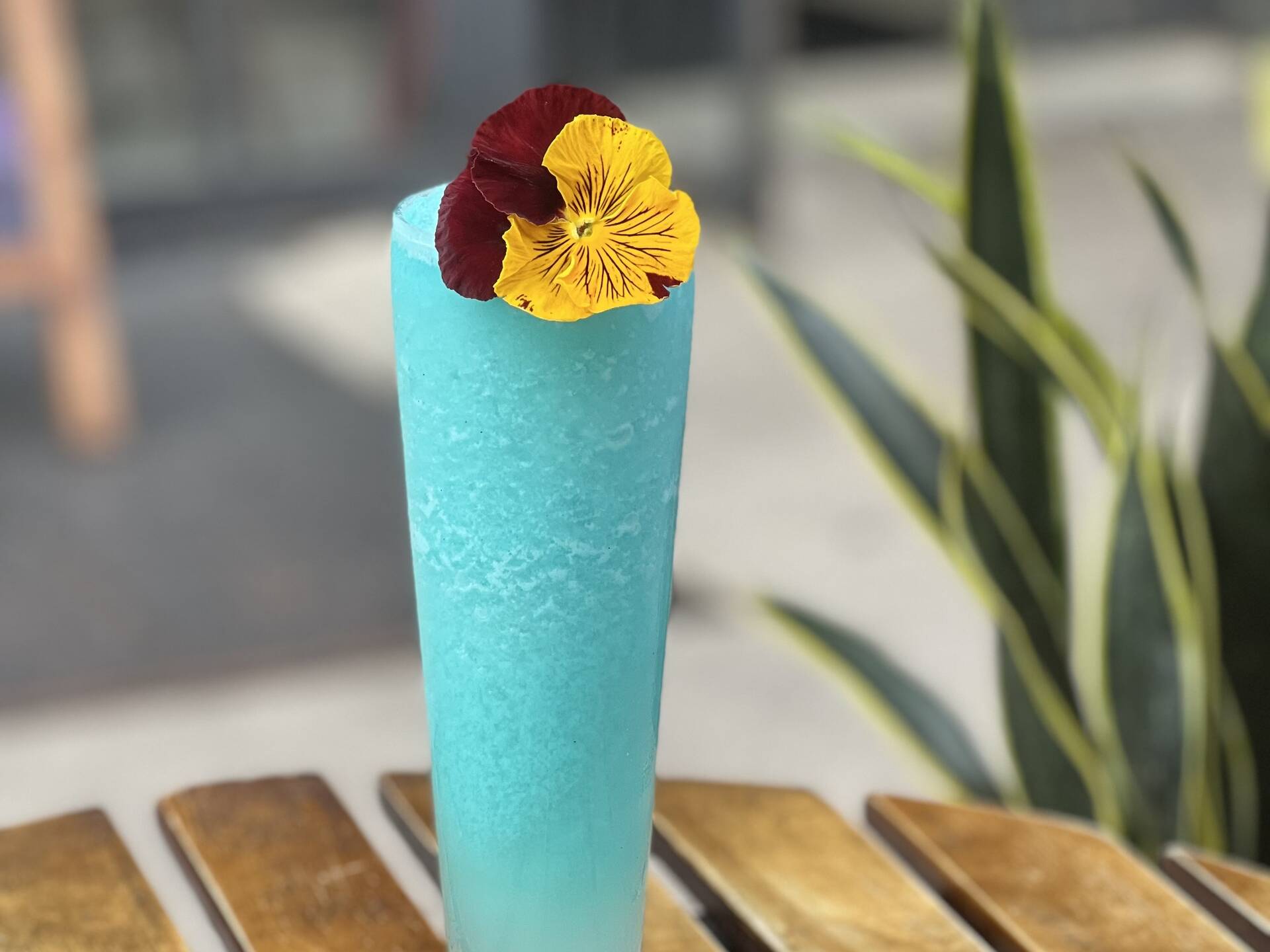 NYC's 15 best frozen drinks include margaritas, cosmos and coffee