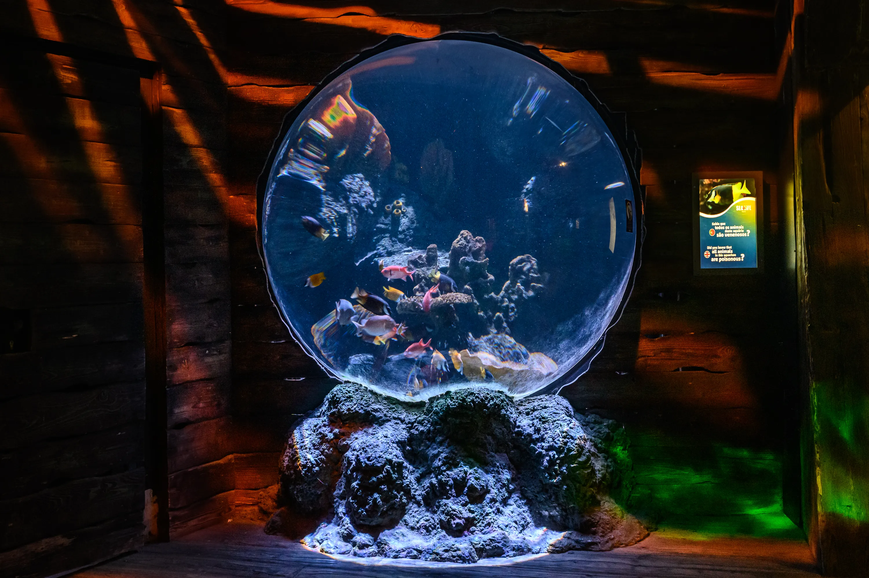 Sea Life Porto
