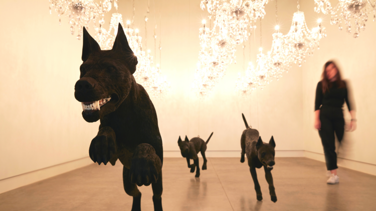 Three fierce black dogs carved from wood appear to charge under a canopy of chandeliers 