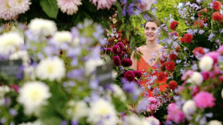 RHS Hampton Court Palace Garden Festival