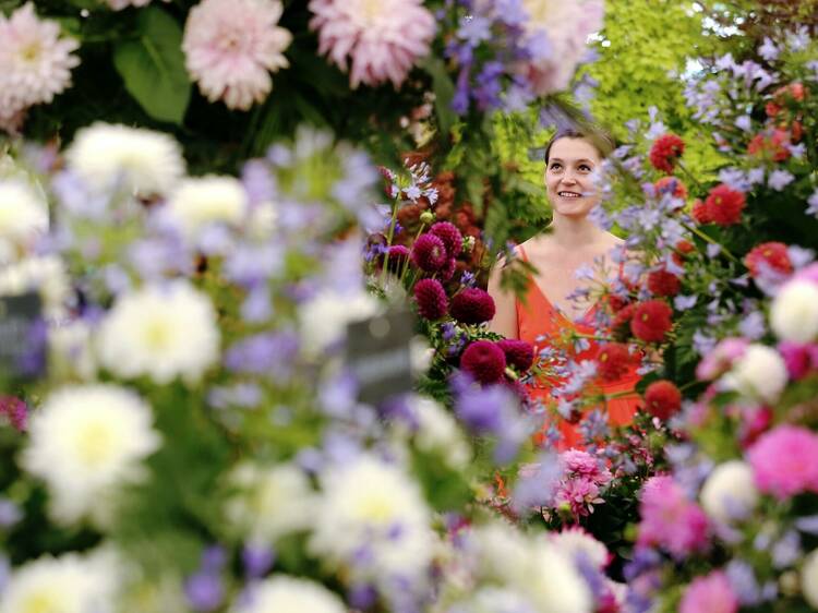 RHS Hampton Court Palace Garden Festival