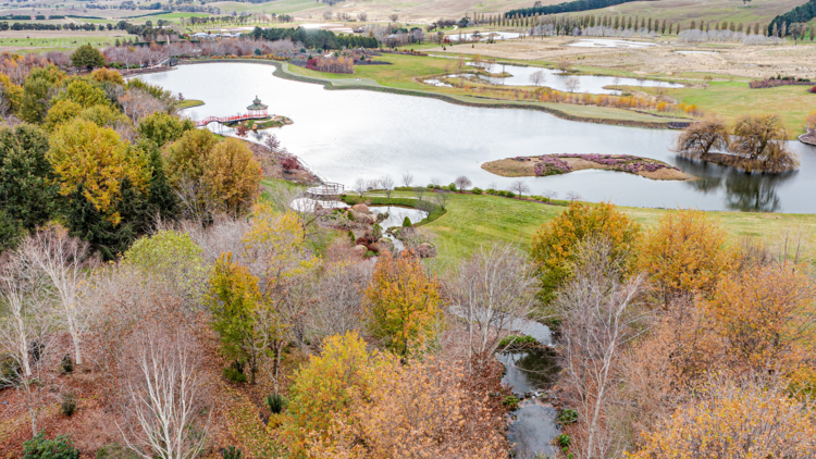 An overhead shot of the autumn leaves and garden scape at Mayfield Garden