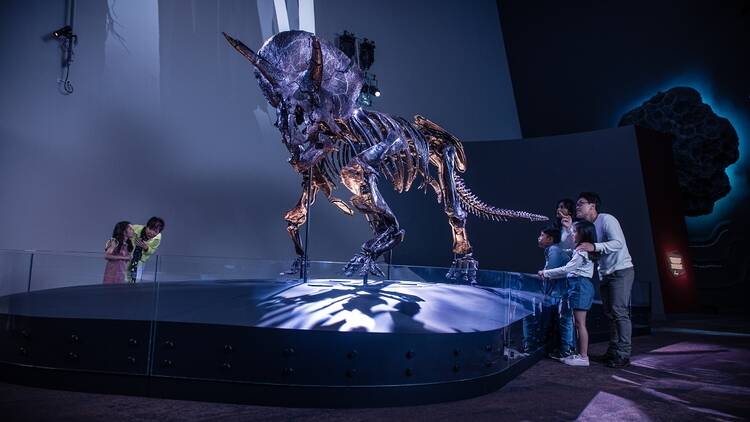 Triceratops: Fate of the Dinosaurs