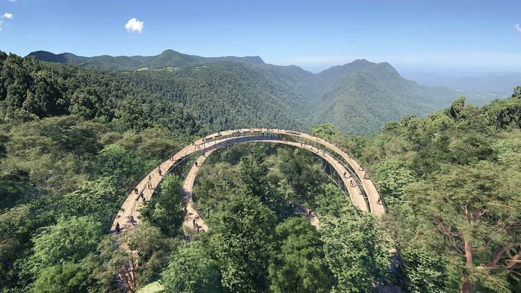 The Rainforest Arc Centre and Dorrigo Escarpment Great Walk