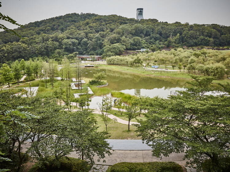Enjoy a picture-perfect picnic at Seoul Dream Forest