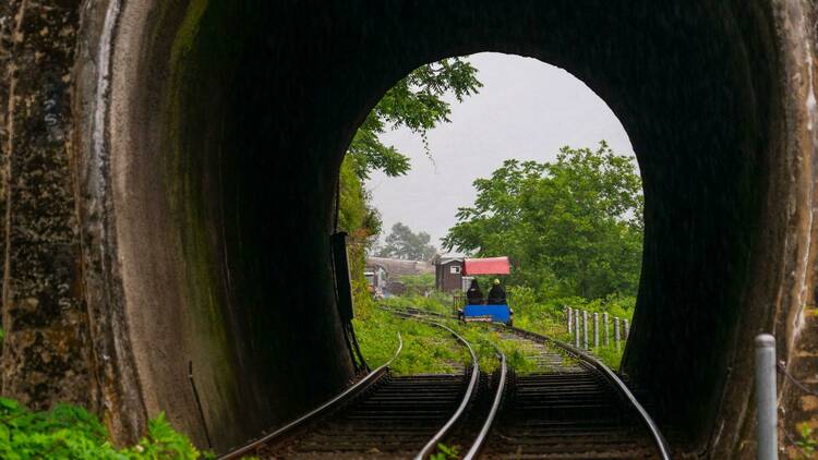 Cycle through the scenic grounds of Gangchon Rail Park