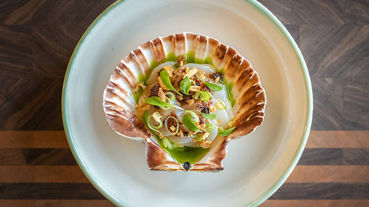 Restaurant seafood dish served on an open scallop shell