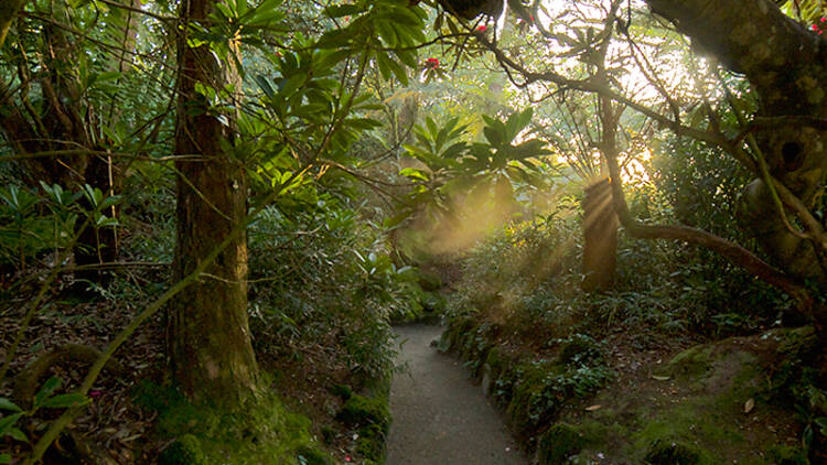 Lost Gardens of Heligan