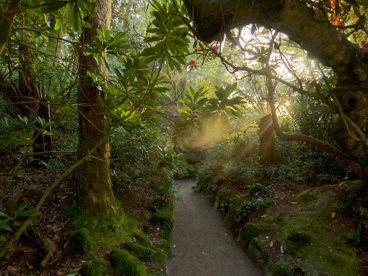 Lost Gardens of Heligan