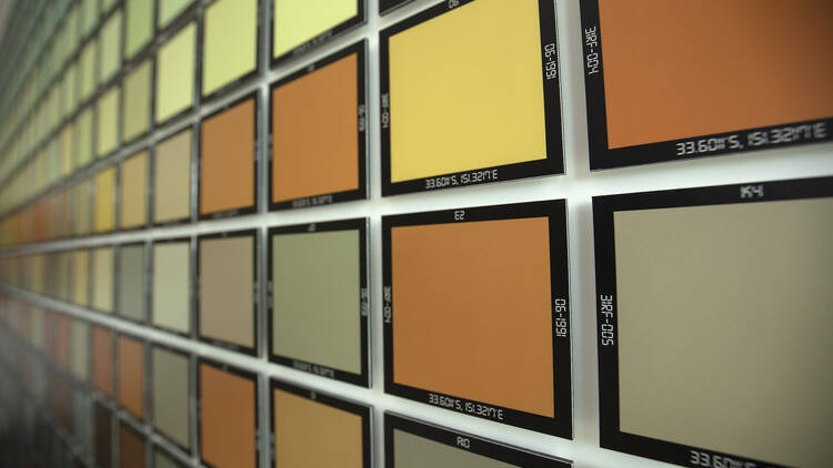 Polaroids of block colour in yellows, greens and oranges line the wall