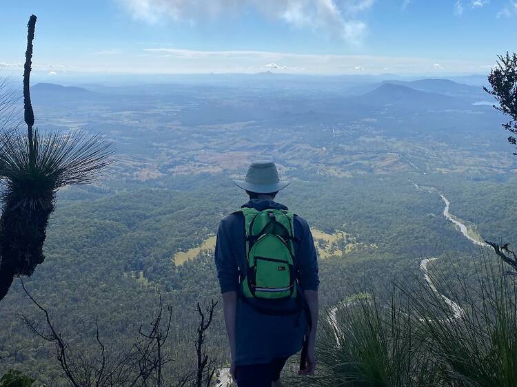 Mount Mitchell and Mount Cordeaux Walks, Cunninghams Gap