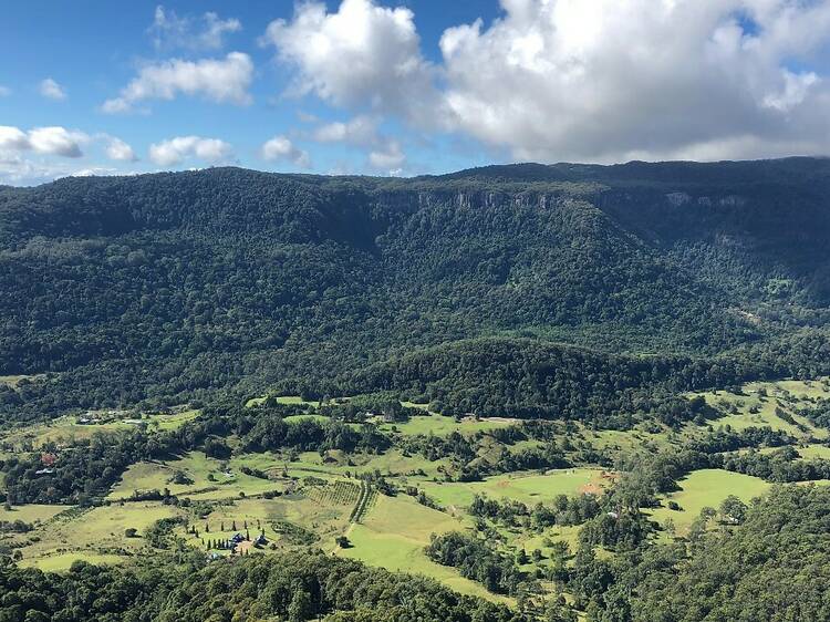 Daves Creek Circuit, Lamington National Park