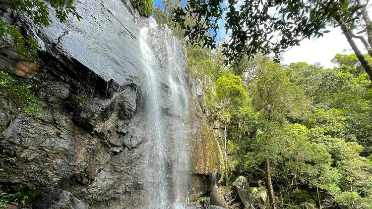 Springbrook National Park Twin Falls