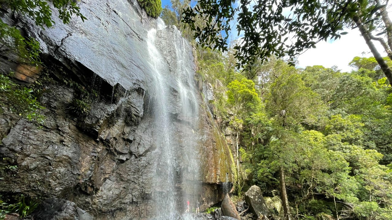 Springbrook National Park Twin Falls | Things to do in Brisbane