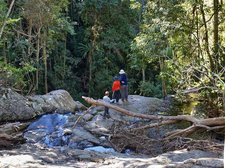 Mount Glorious Greenes Falls Circuit