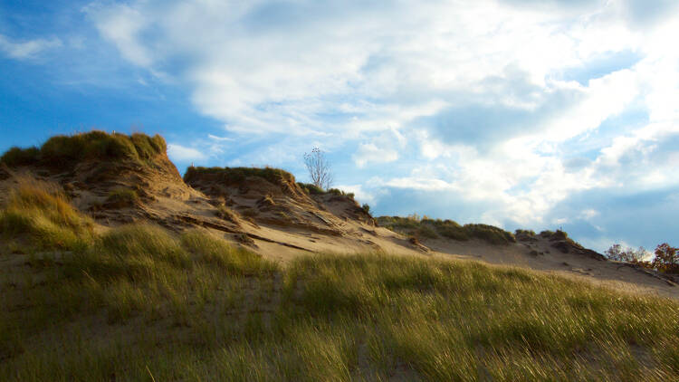 Indiana Dunes, IN