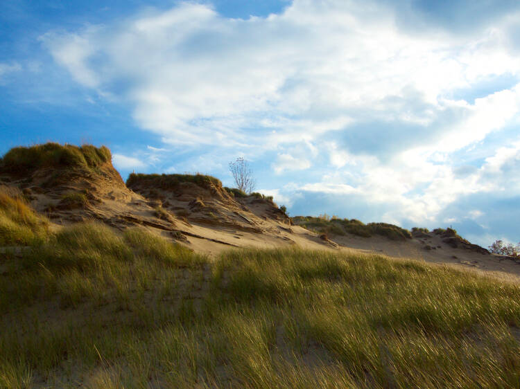 Indiana Dunes, IN