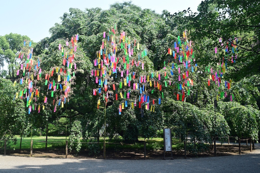 Photo: Tokyo Metropolitan Park Association
