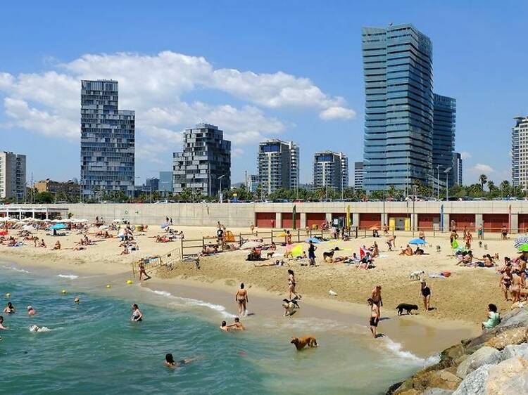 Darse un baño en las playas de Barcelona