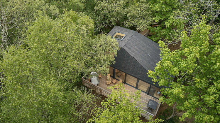 Nymetwood Treehouses