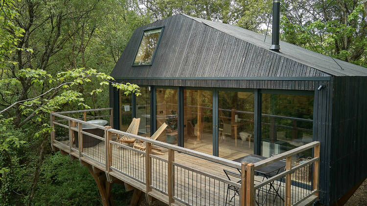 Nymetwood Treehouses, Devon