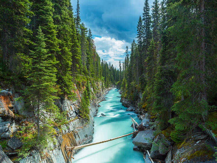 Numa Falls at the Vermillion River Canyon in the Kootenay National Park Canada 