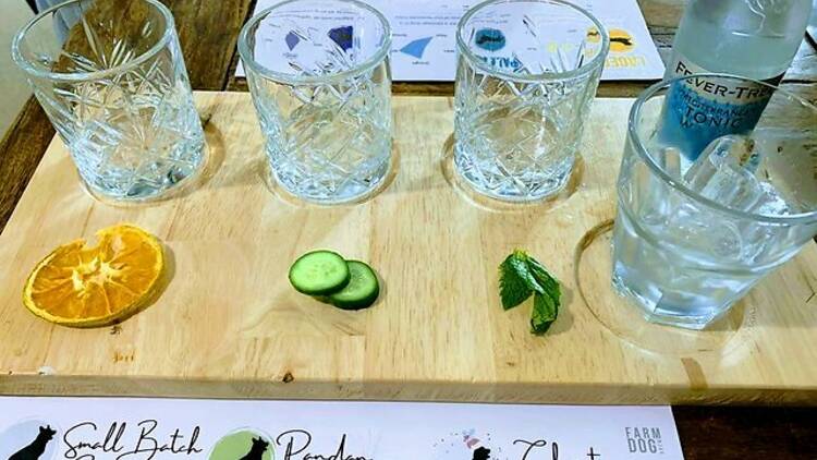 A gin paddle with three types of gins by FarmDog Brewing.