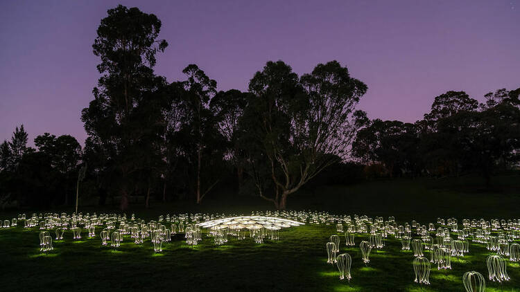 A field at night is illuminated with small sculptures of jellyfish-shaped objects