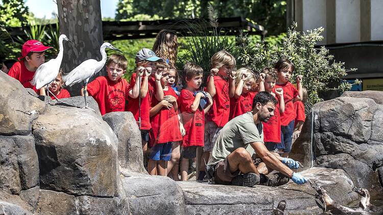 Zoo de Barcelona