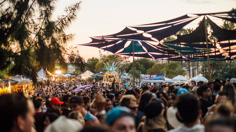 Ultimate Guide to Long Beach Festival Today